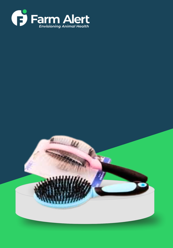DELE COMBO BRUSH