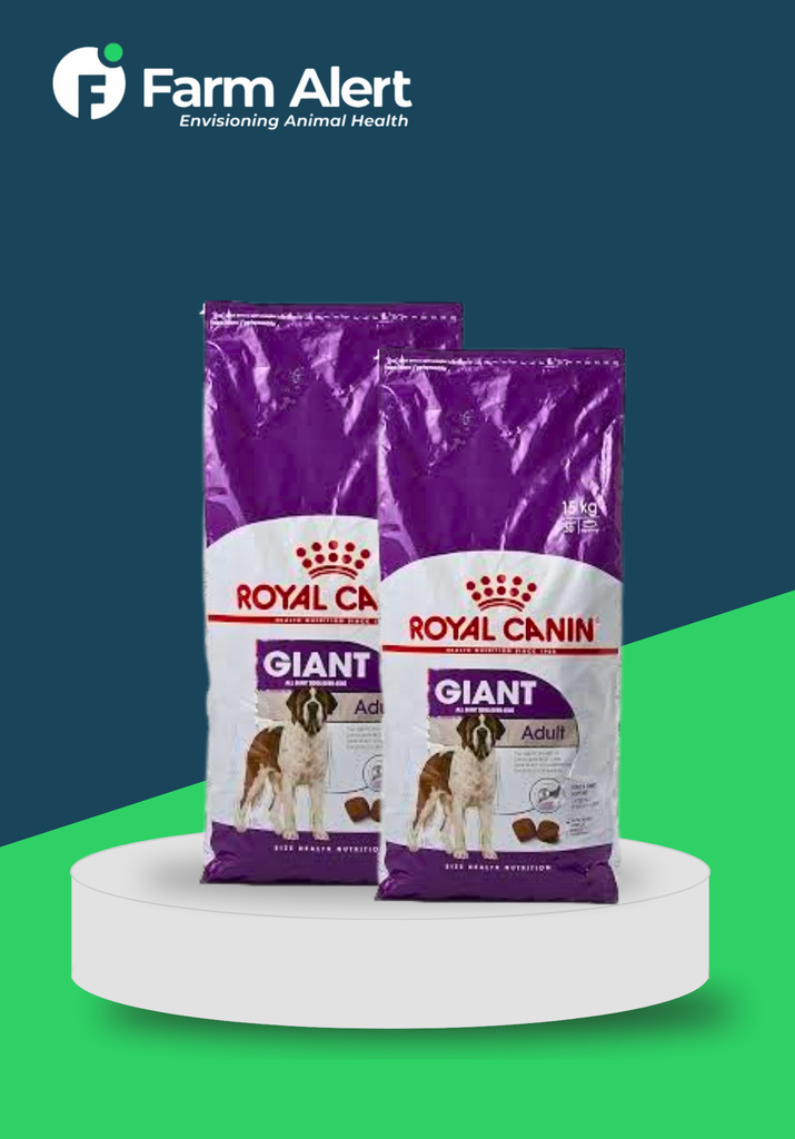 ROYAL C G ADULT 15KG