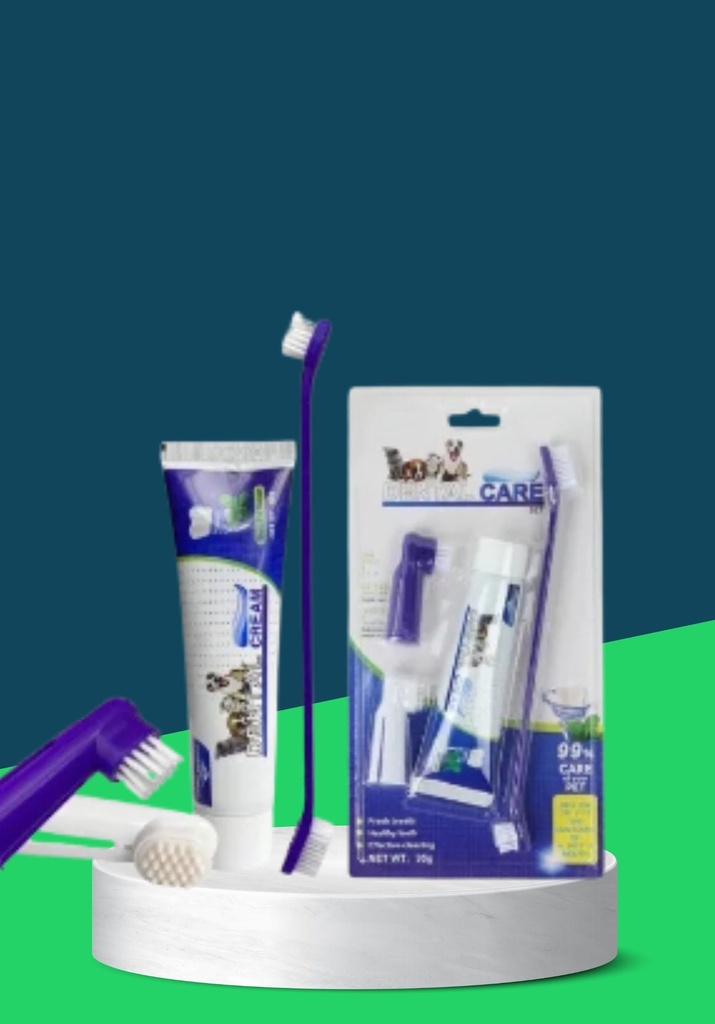 DENTAL CARE