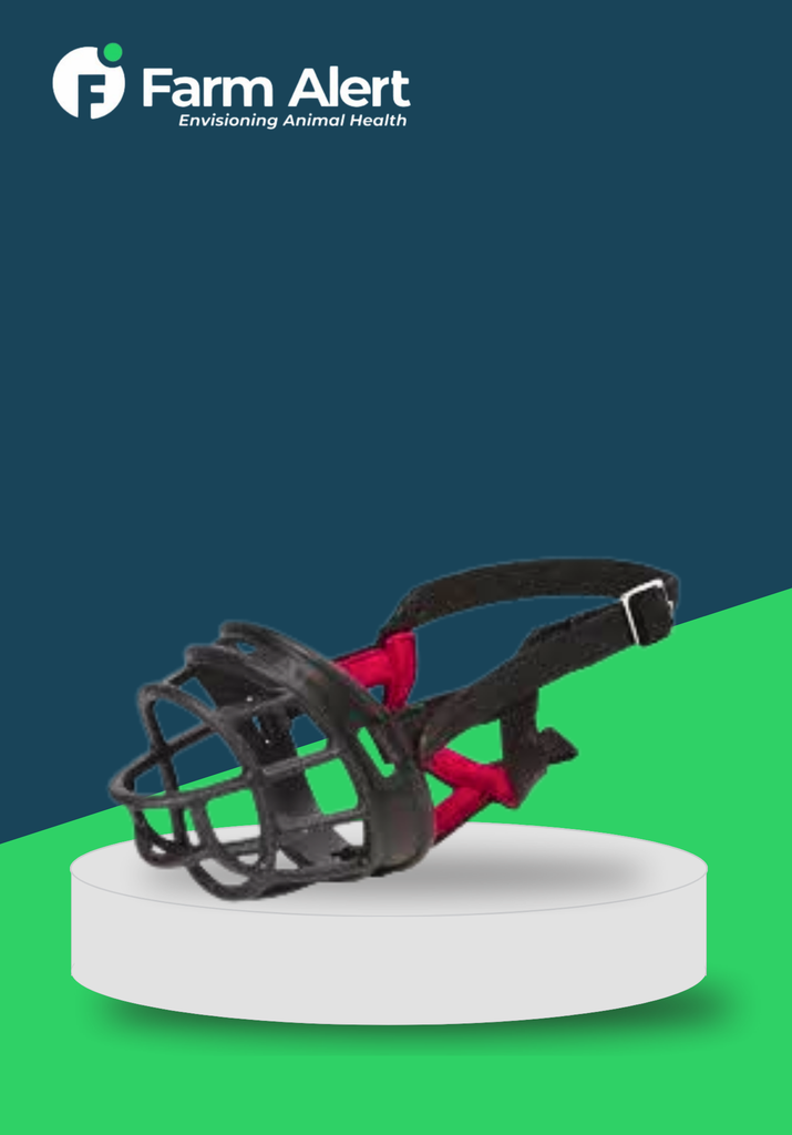 MUZZLE 4 IN 1 BASKET (S)