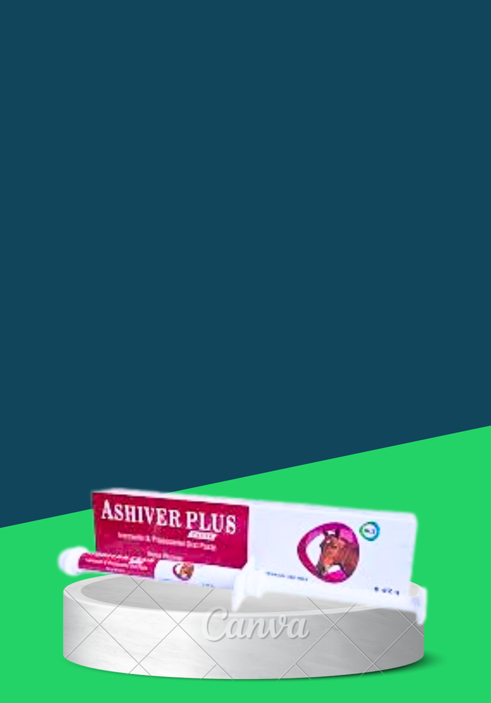 ASHIVER PLUS PASTE