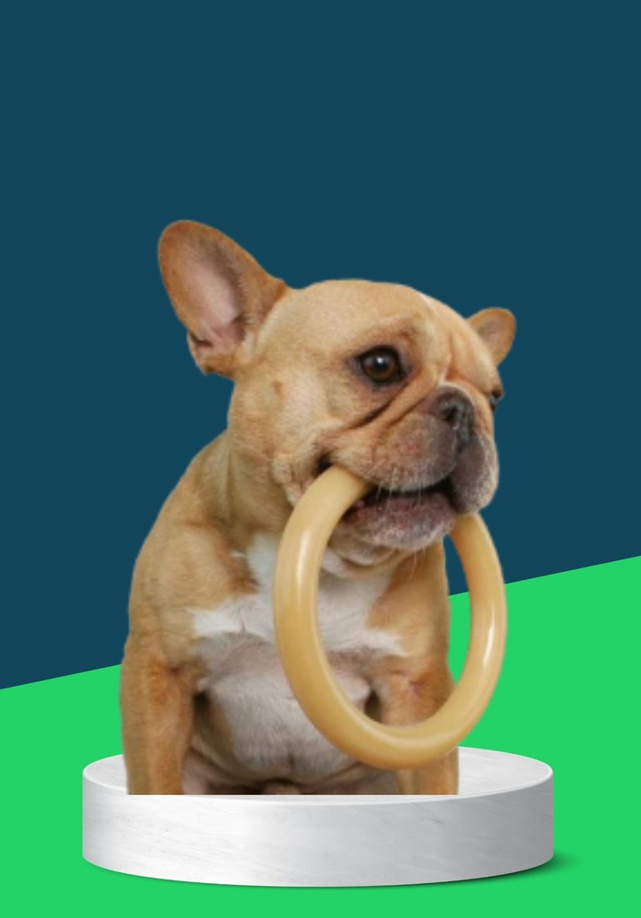 DOG CHEW RING BONE BROWN/WHITE