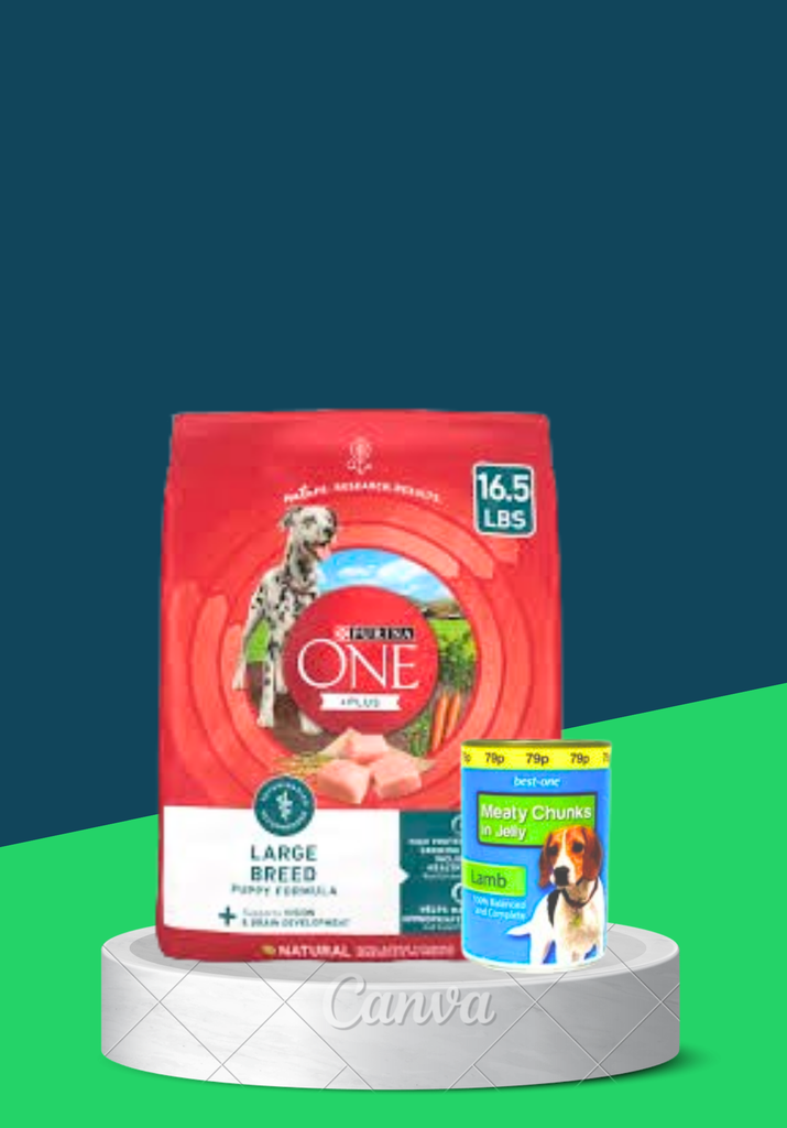 BEST ONE DOG FOOD