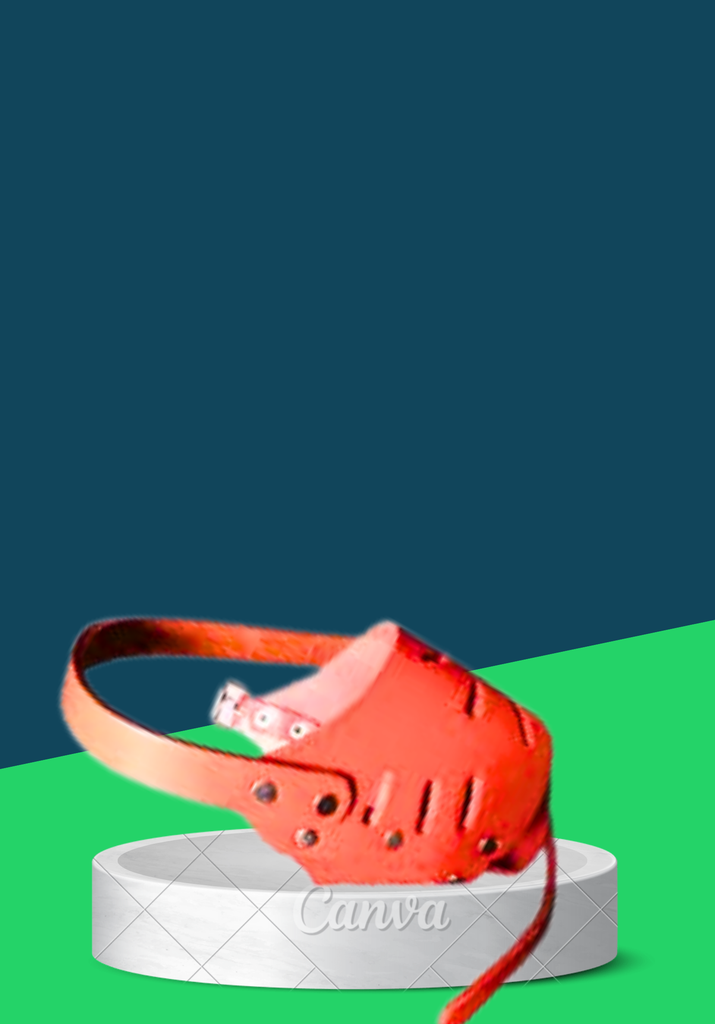 BIG MOUTH GUARD