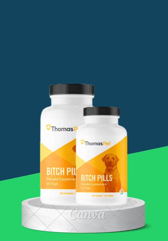 BITCH PILL RETAIL