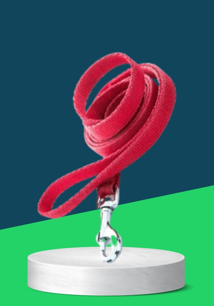 NUNBEL PET LEASH