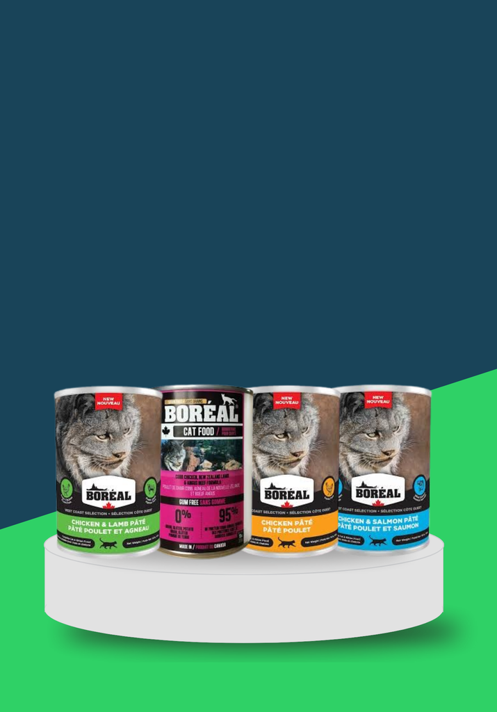 BOREAL KITTEN CAN