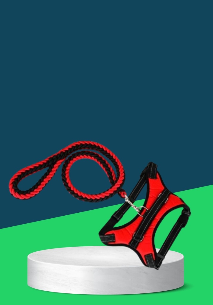 BRAIDED HARNESS AND LEASH