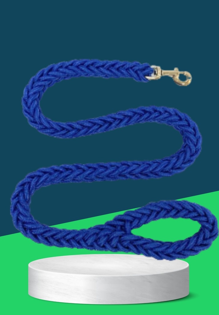 BRAIDED LEASH (XL)