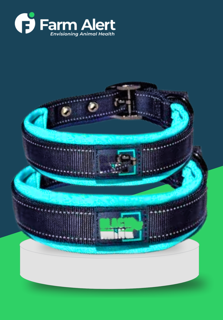 PADDED COLLAR SB (L)