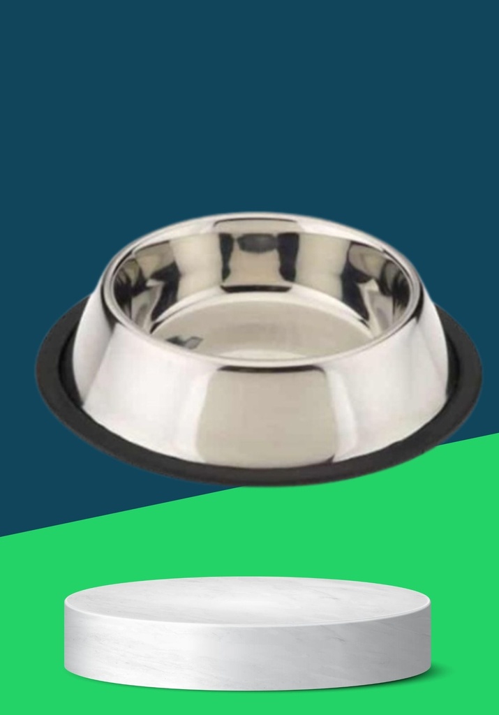 STAINLESS BOWL S (22CM)