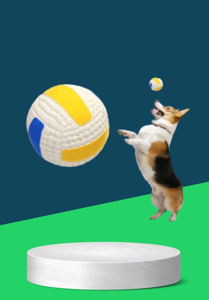 WHITE VOLLEY BALL 7CM