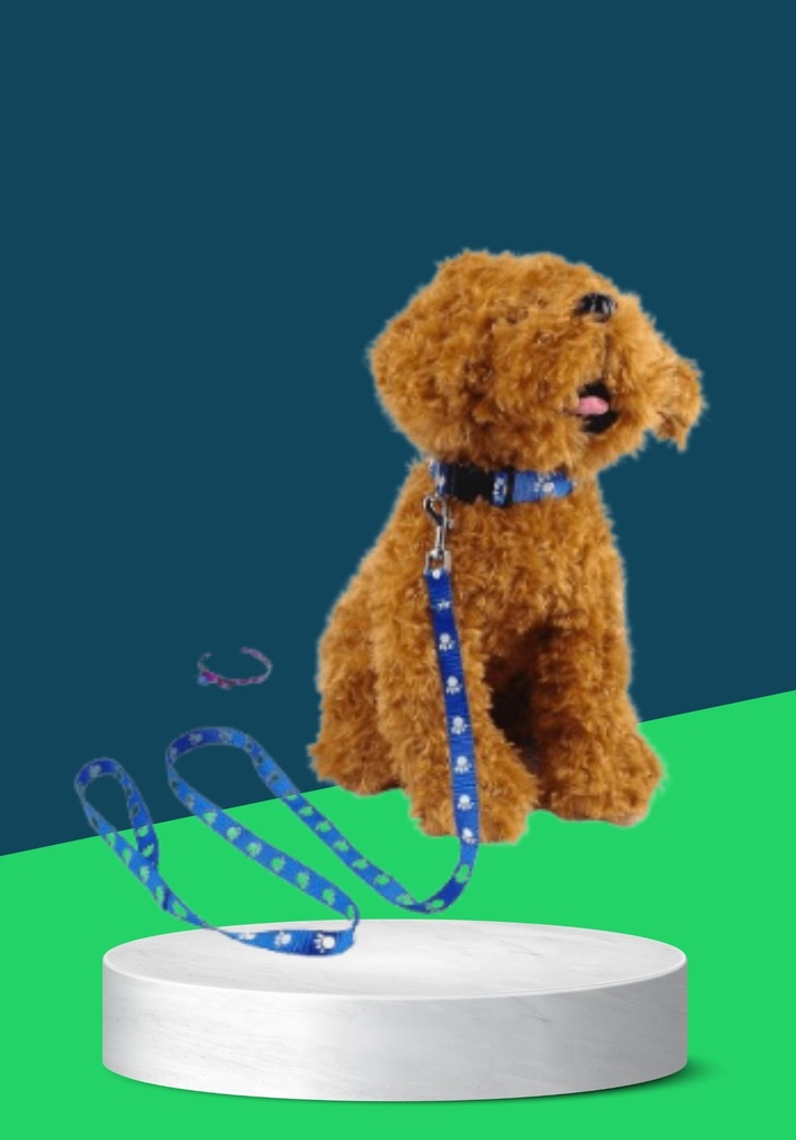 NUNBEL PRINTED LEASH (B)