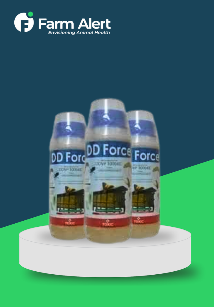 DD FORCE 1 LTR