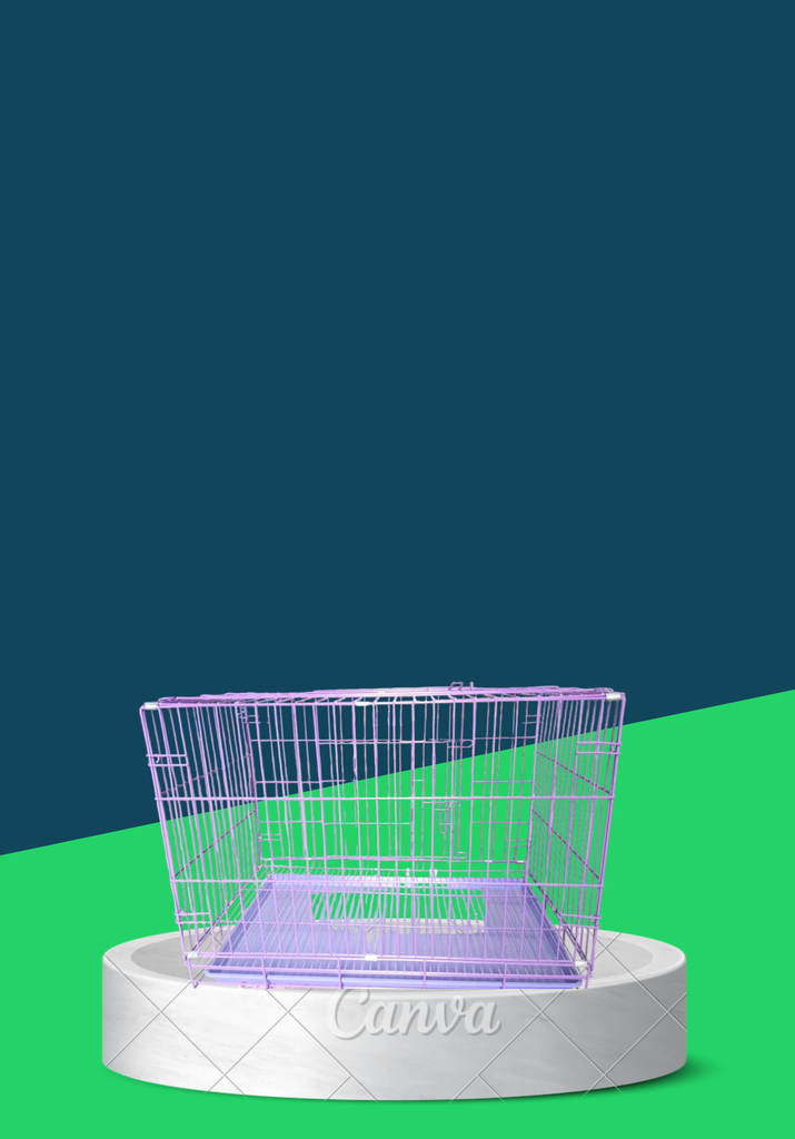 ANTI-RUST COLLAPSIBLE CAGE SIZE 4