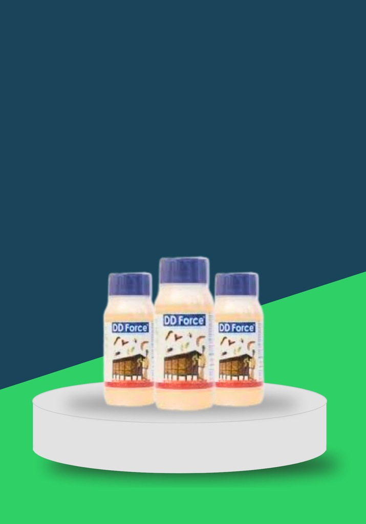 DD FORCE 500ML