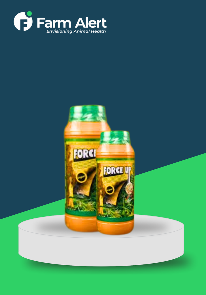 FORCE UP 1 LTR