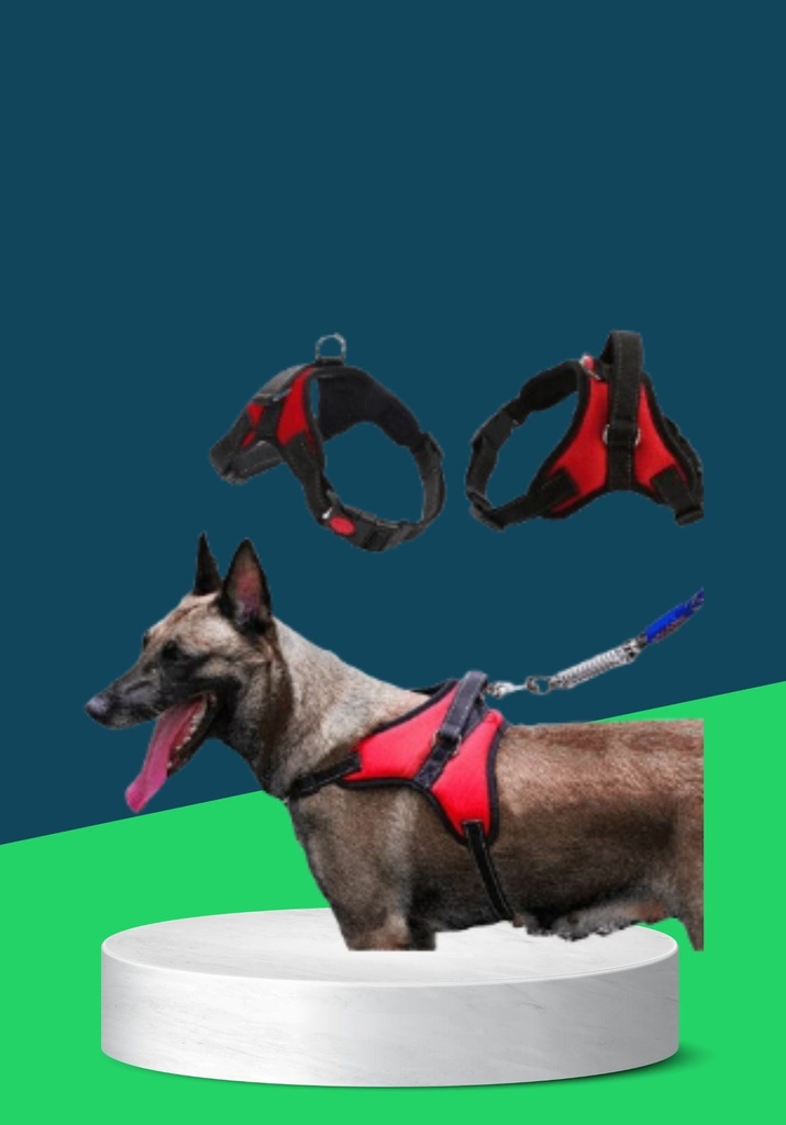 NUNBEL HARNESS (S)
