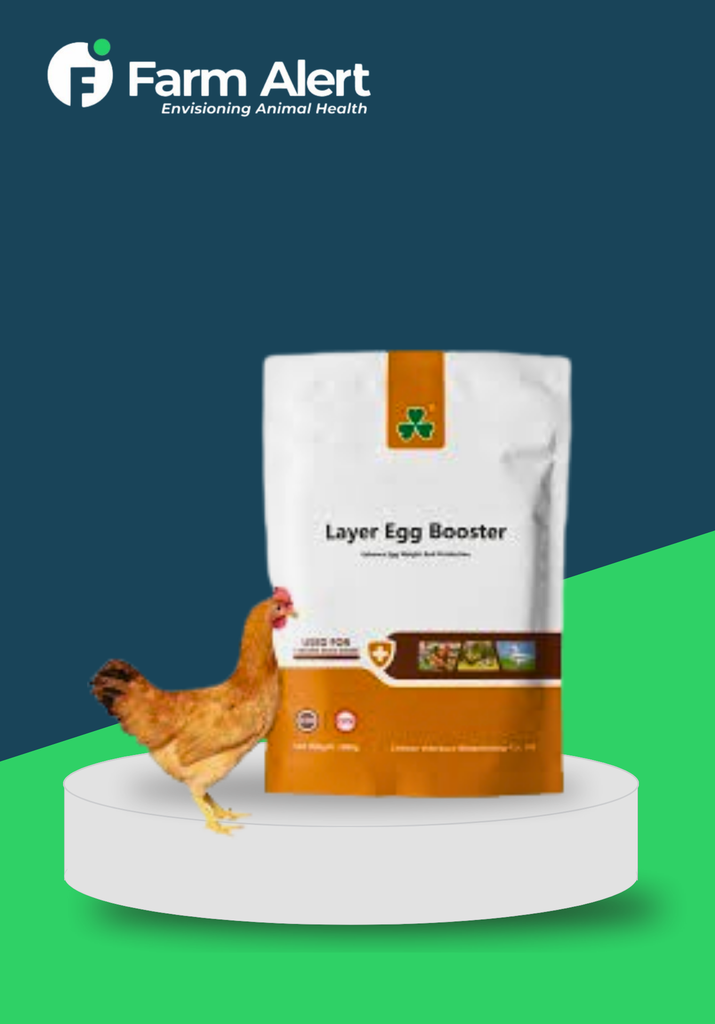 EGG BOOSTER