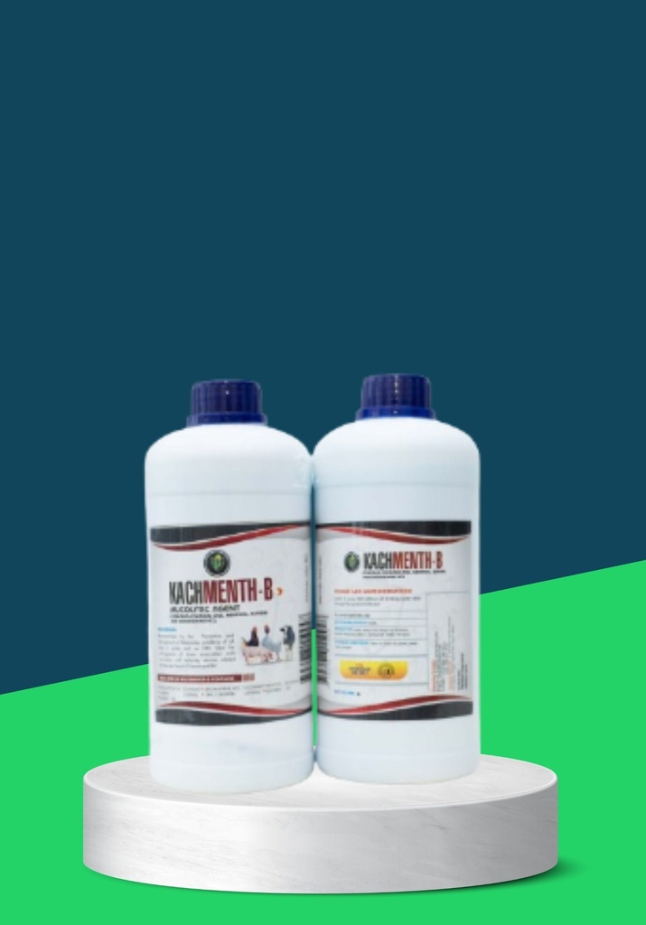 KACHMENTH B 100ML