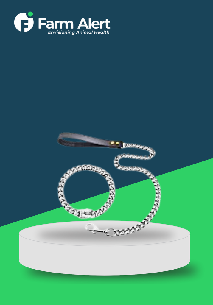 PUPPY COLLAR AND CHAIN LEASH