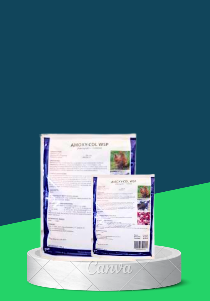 AMOXYCOL 100G