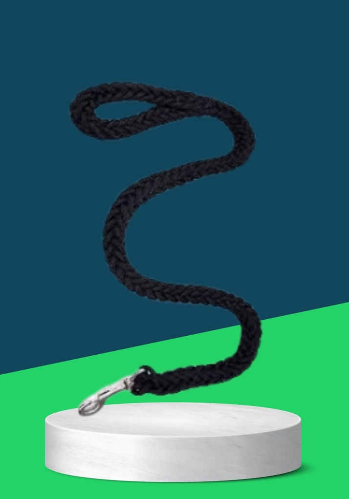 BRAIDED LEASH (L)