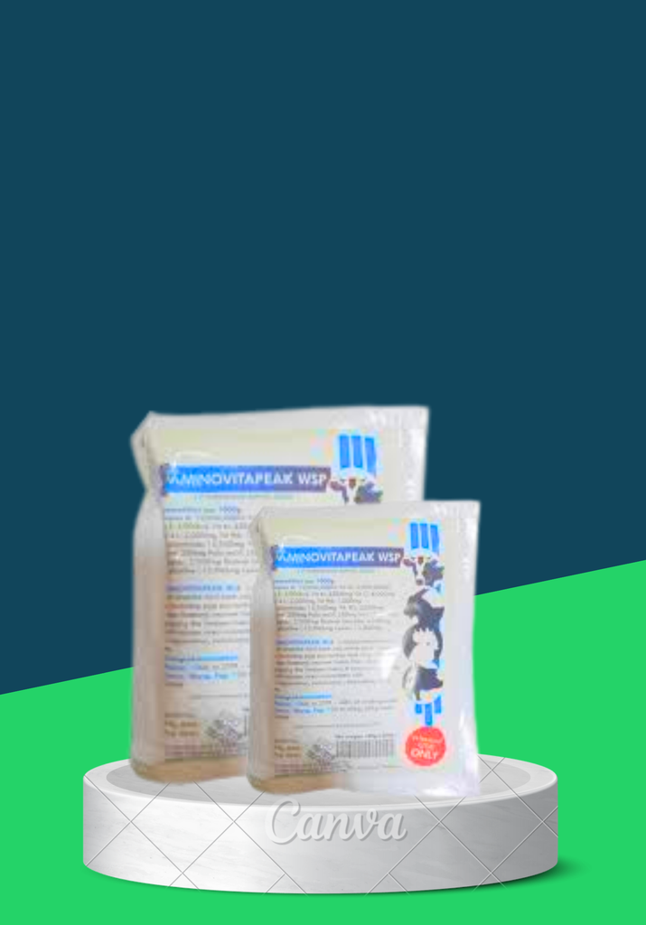 AMINOVITAPEAK WSP 100G