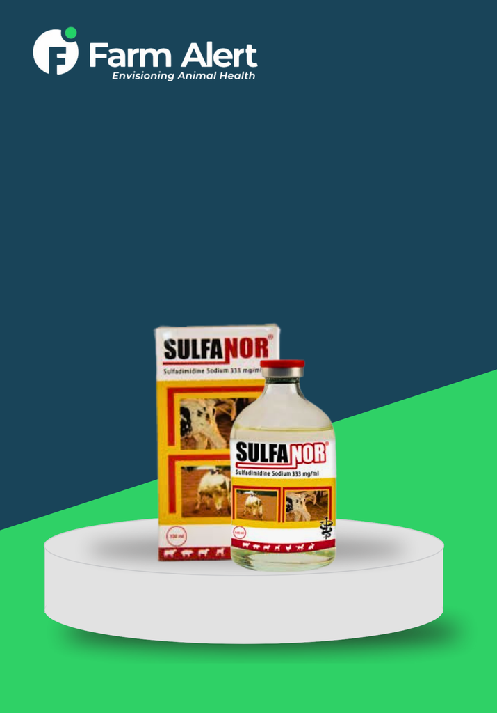 SULFANOR 100ML