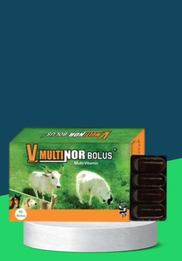 VMULTINOR BOLUS