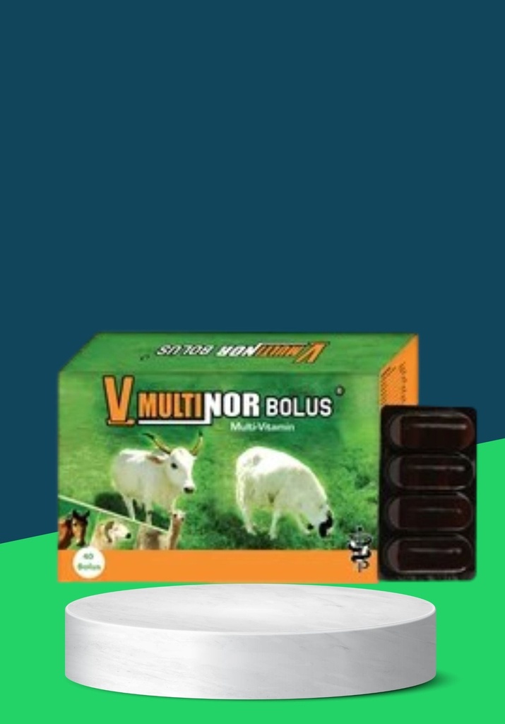 BOOSTINOR BOLUS