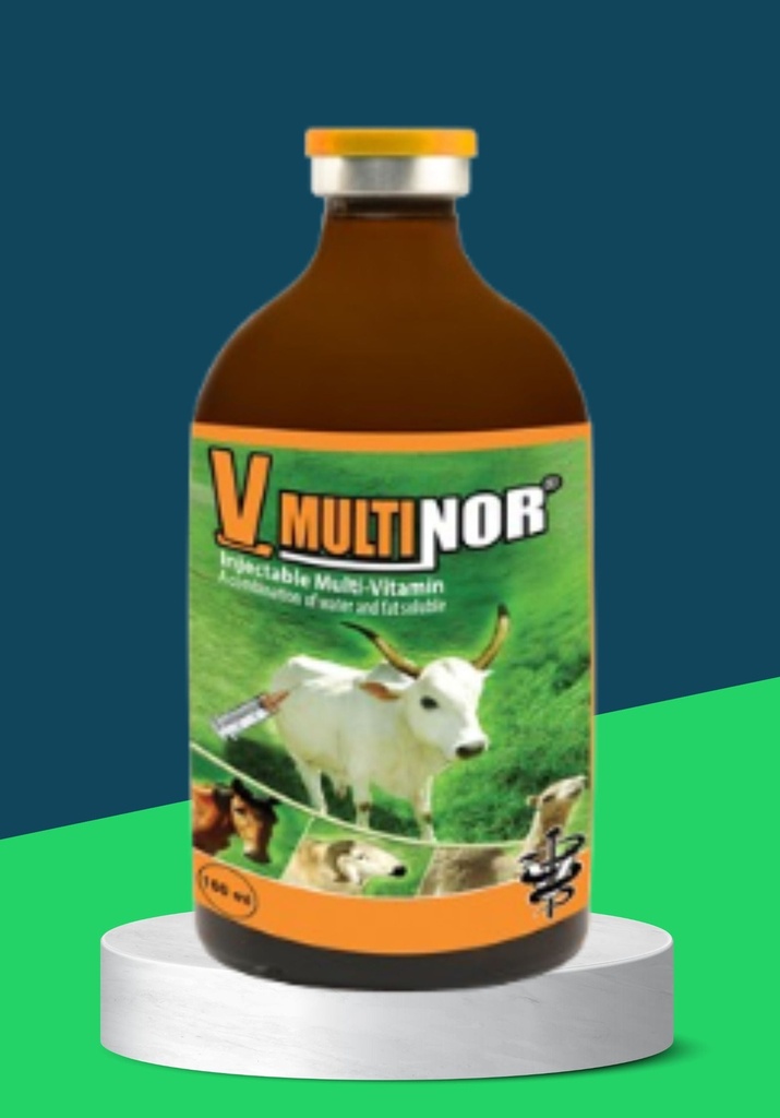 VMULTINOR INJ 100ML