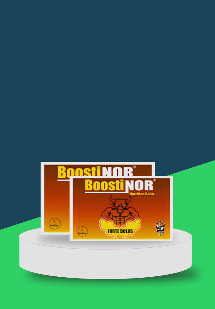 BOOSTINOR