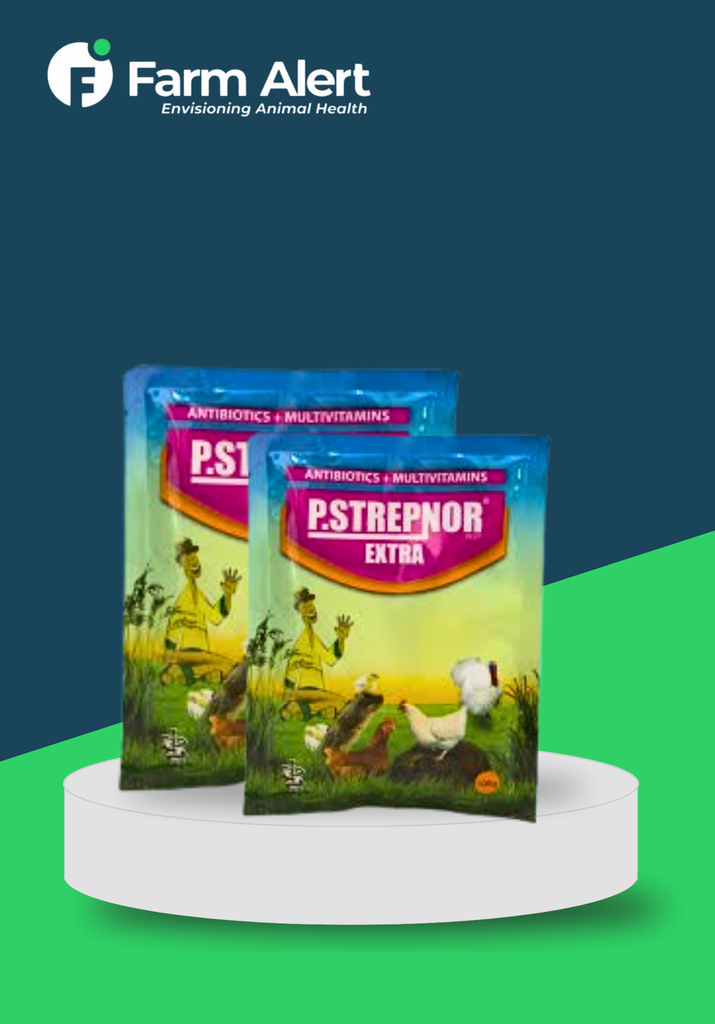 P.STREPNOR EXTRA 100G