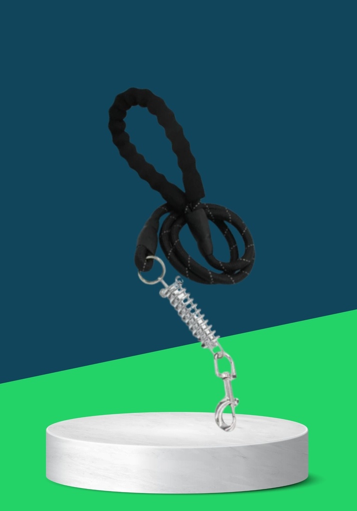 REFLECTIVE LEASH WITH  SPRING