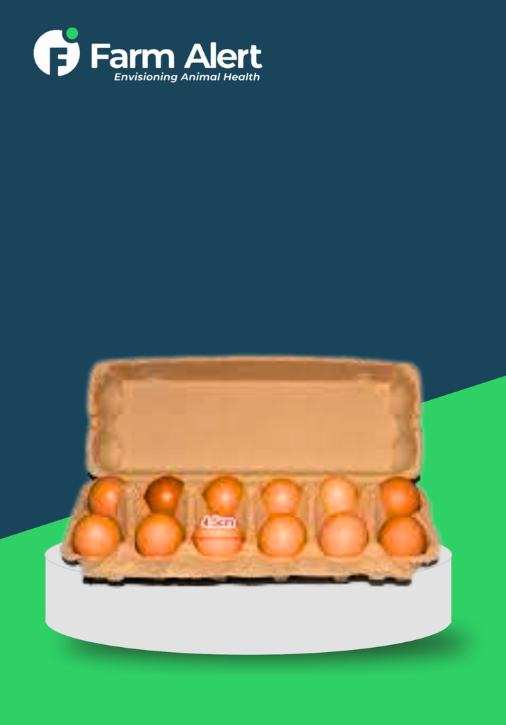 EGG CRATES *12(JUMBO)