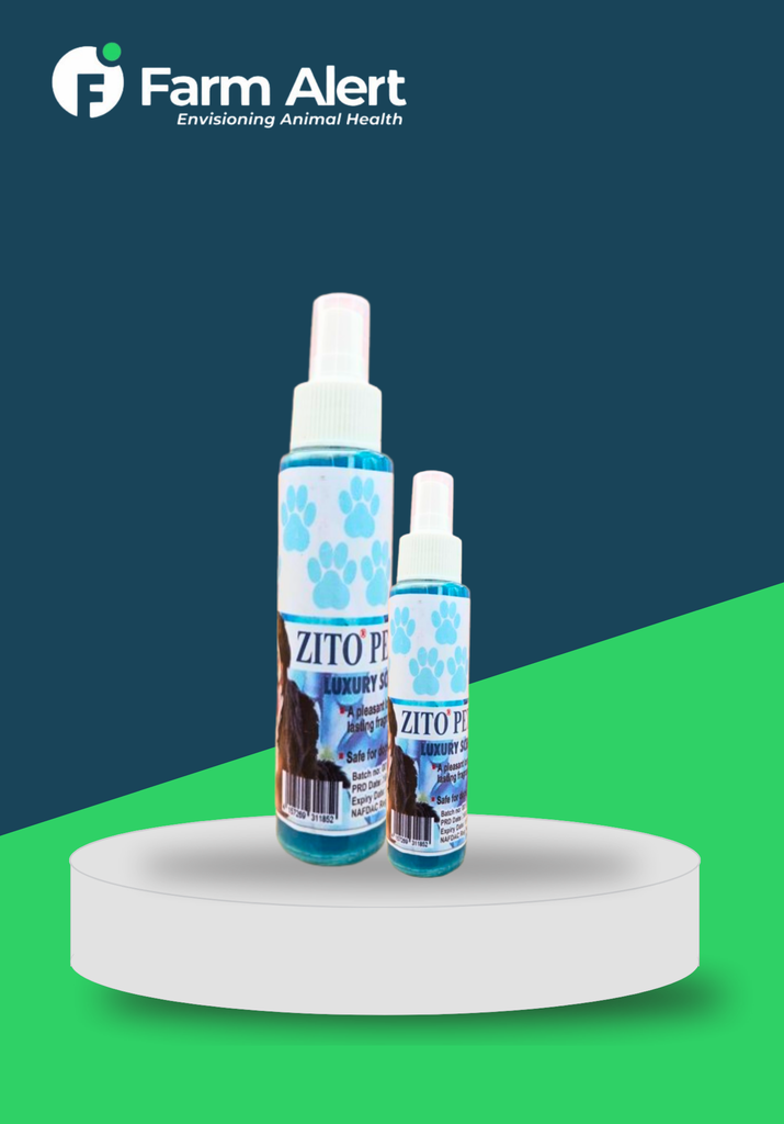 ZITO PERFUME 100ML